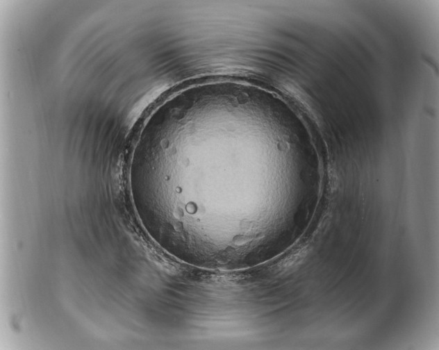 X0000100970875200807011418
