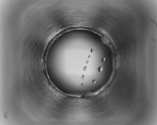 X0000100970876200807011418