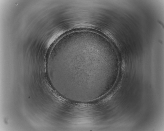 X0000100970877200807011418