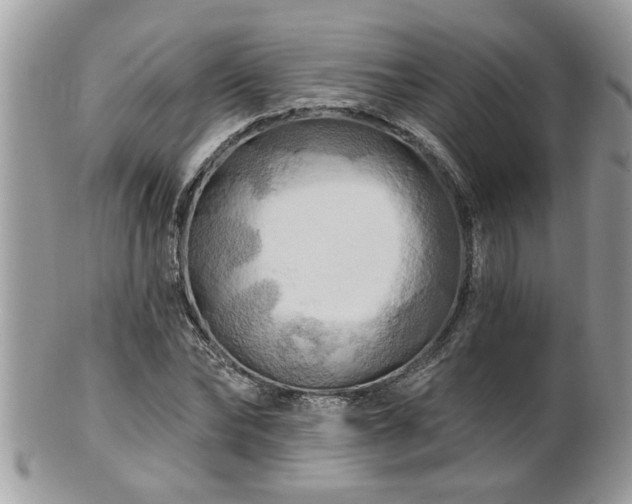 X0000100970878200807011418