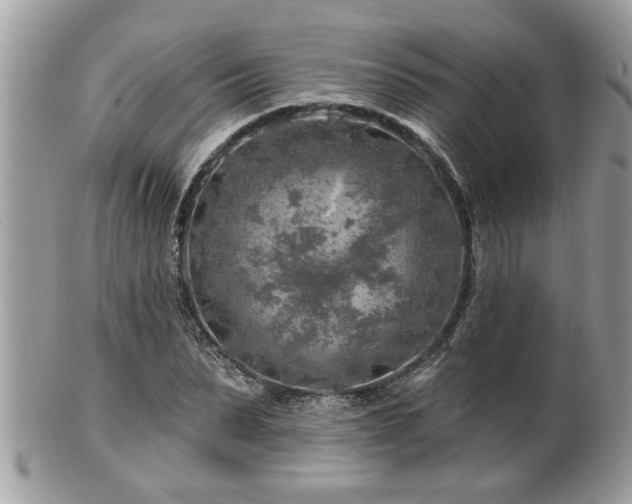 X0000100970879200807011418