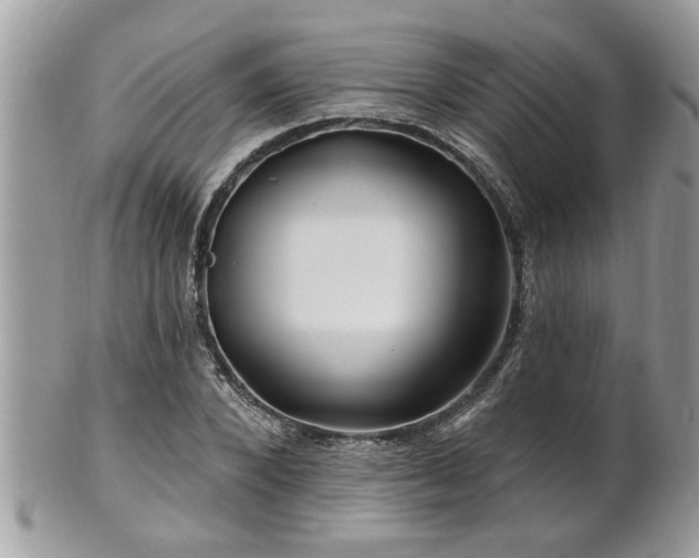 X0000100970880200807011418