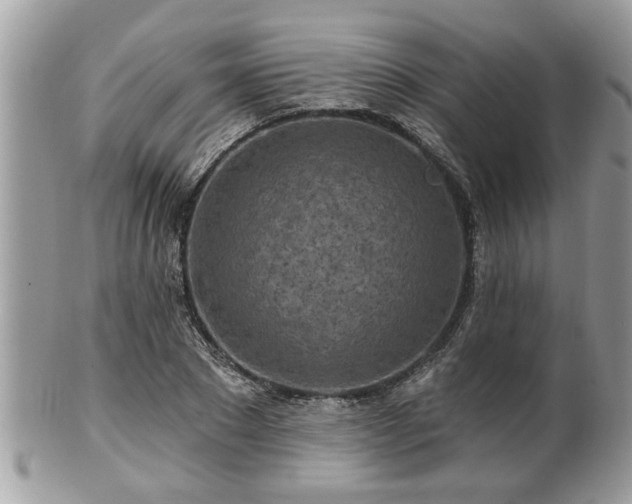 X0000100970881200807011418