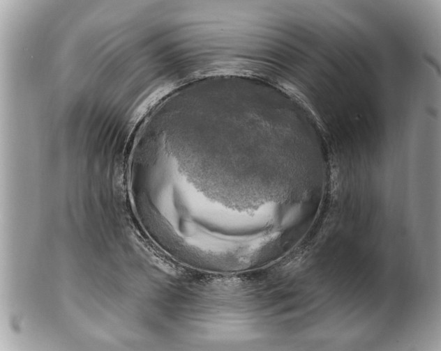 X0000100970882200807011418