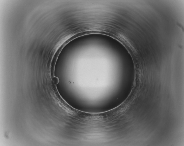 X0000100970884200807011418