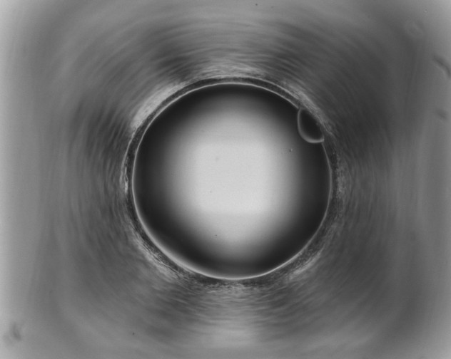 X0000100970885200807011418