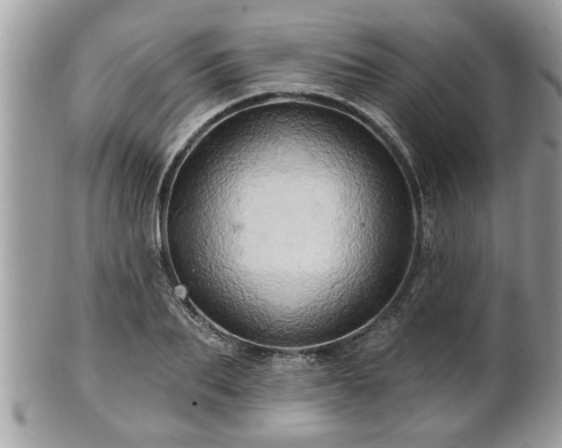 X0000100970887200807011418