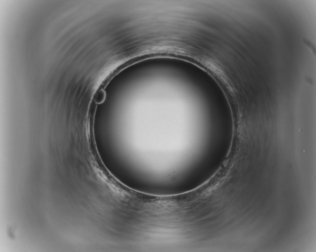 X0000100970888200807011418