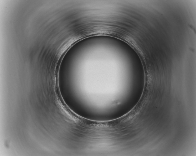 X0000100970890200807011418