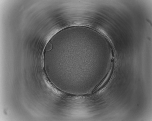 X0000100970892200807011418