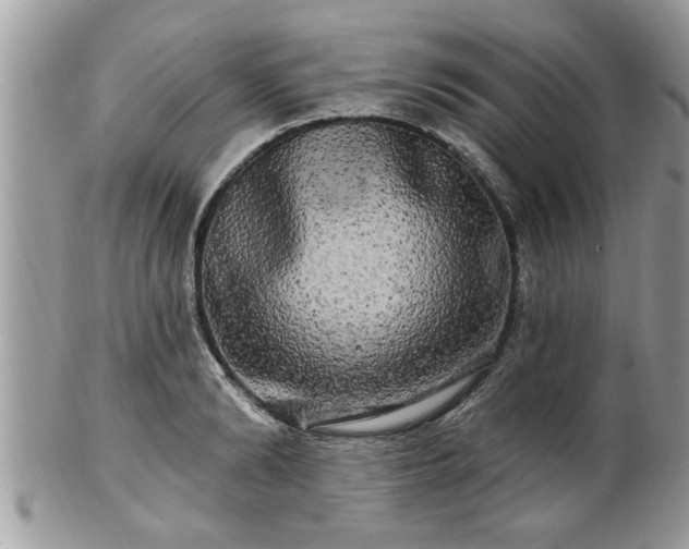 X0000100970894200807011418