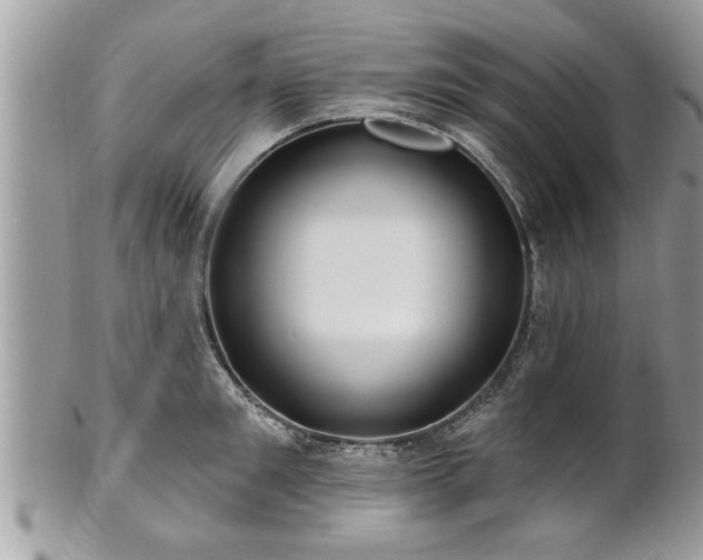 X0000100970901200807011418