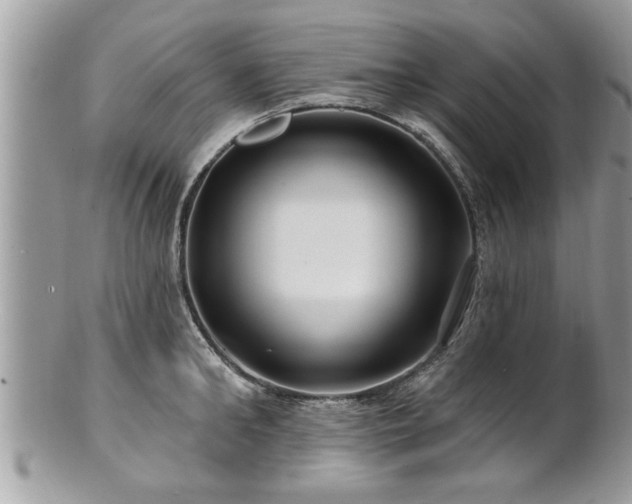 X0000100970902200807011418