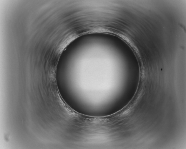 X0000100970905200807011418