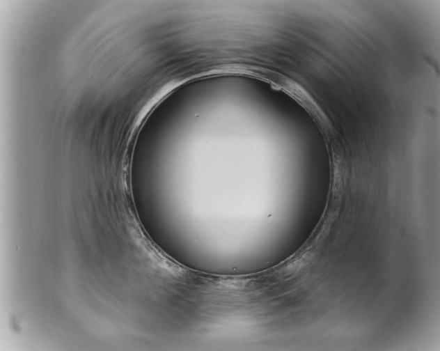 X0000100970908200807011418