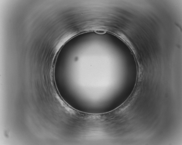 X0000100970909200807011418