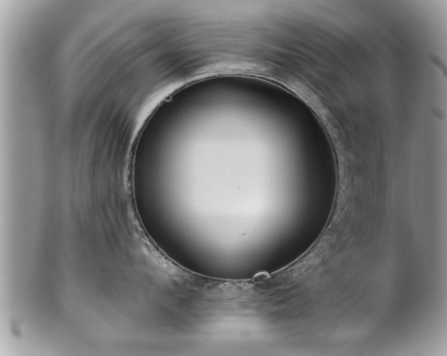 X0000100970912200807011418