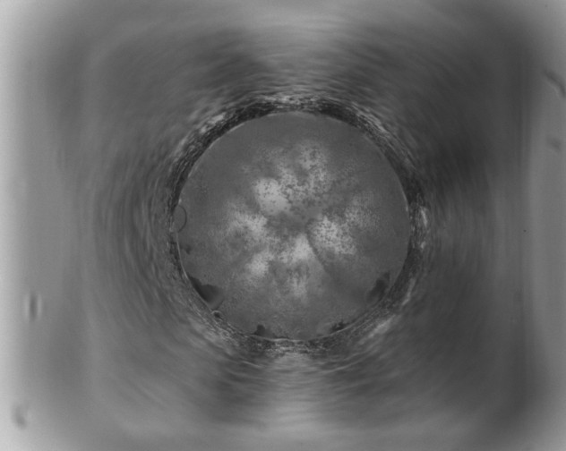 X0000100970913200807011417