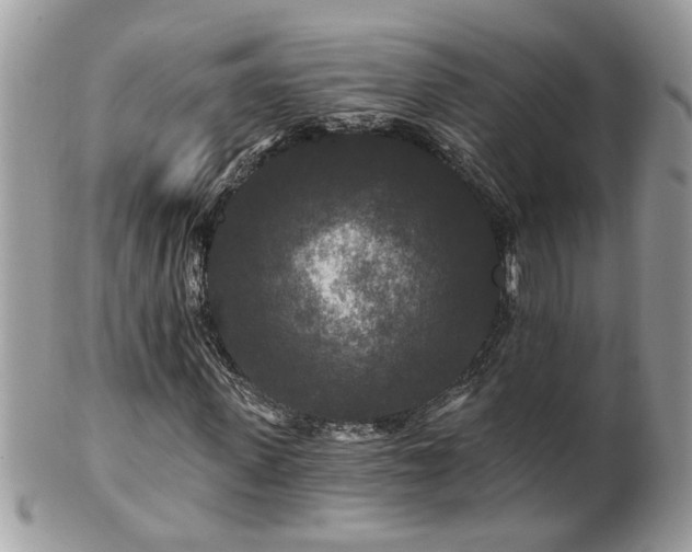 X0000100970915200807011417