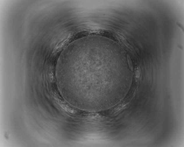 X0000100970916200807011417