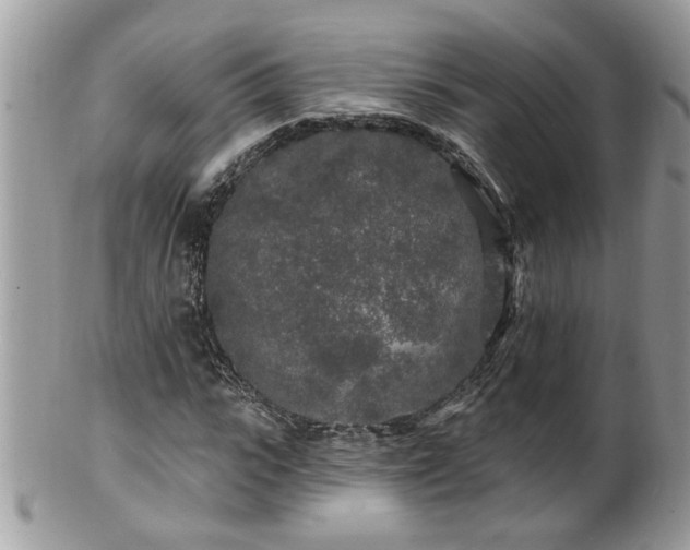 X0000100970919200807011417