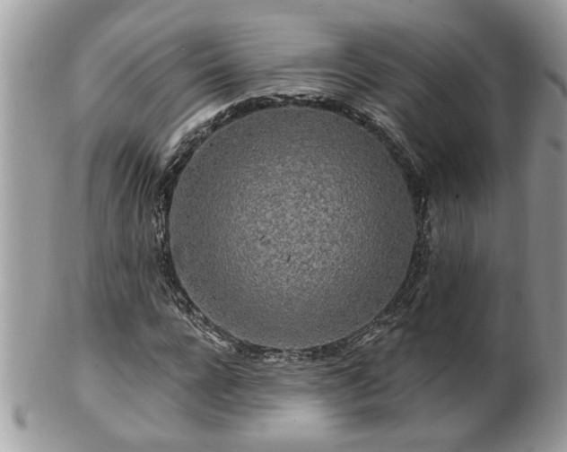 X0000100970920200807011417