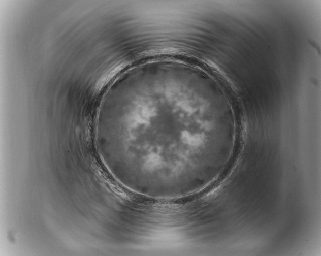 X0000100970921200807011417