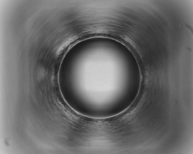 X0000100970922200807011417