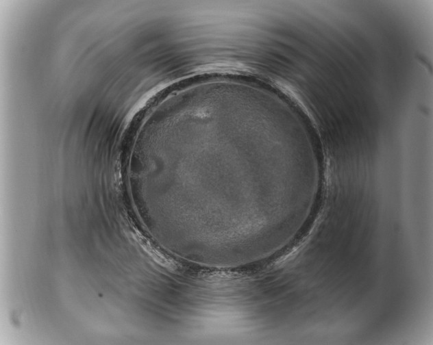 X0000100970923200807011417