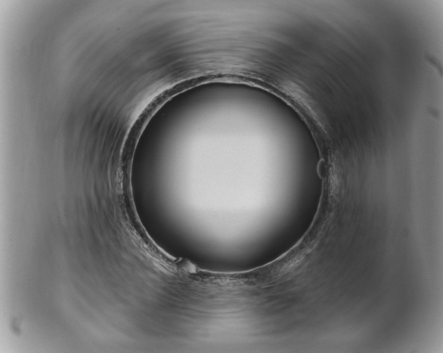 X0000100970924200807011417