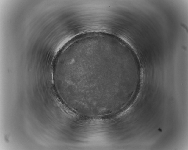 X0000100970925200807011417