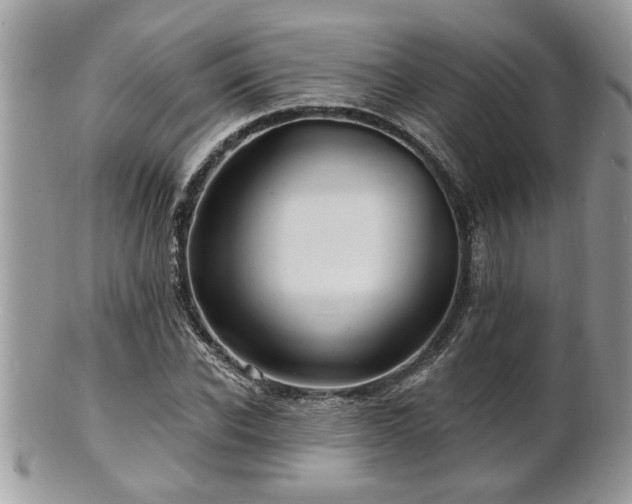 X0000100970926200807011417