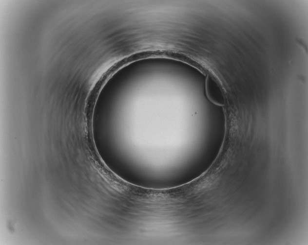 X0000100970927200807011417