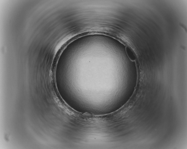 X0000100970928200807011417