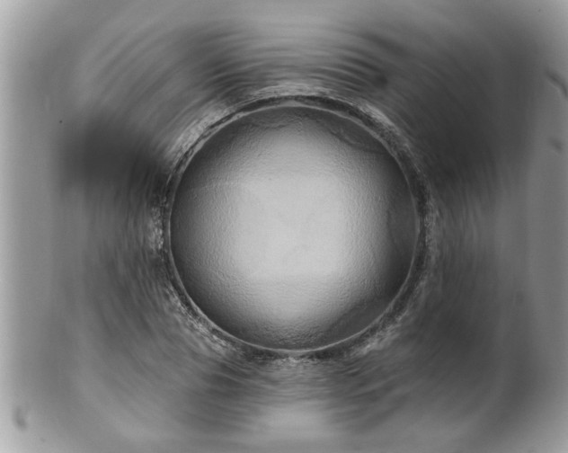 X0000100970929200807011417