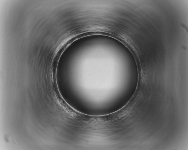 X0000100970931200807011417