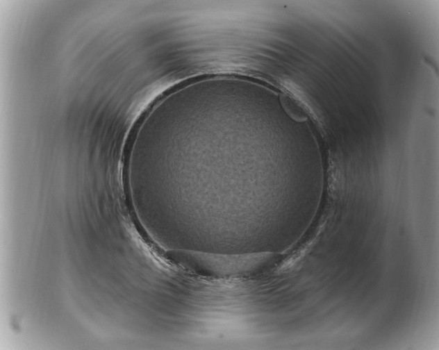 X0000100970932200807011417
