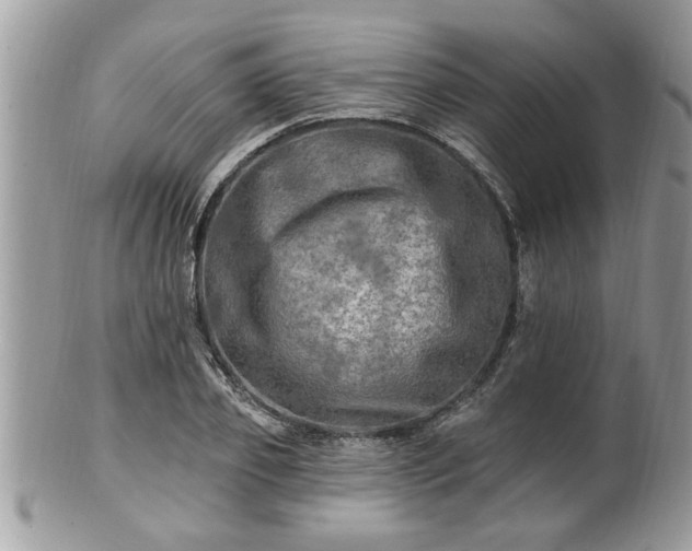 X0000100970933200807011417