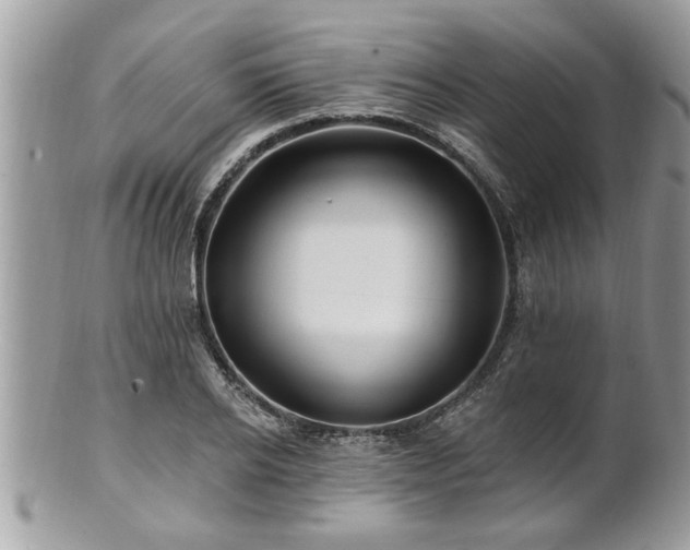 X0000100970934200807011417