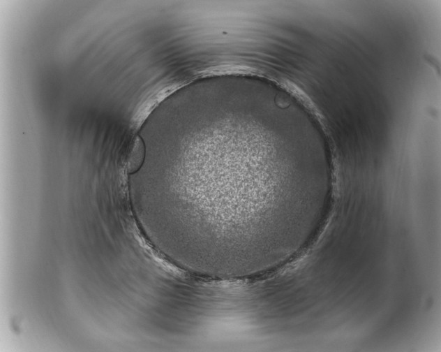 X0000100970937200807011417