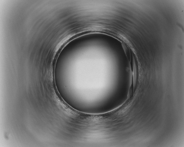 X0000100970939200807011417