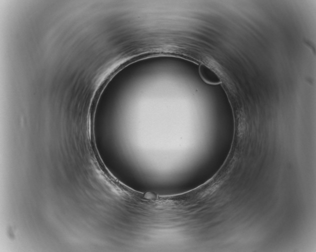 X0000100970940200807011417
