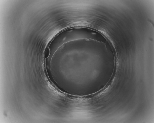 X0000100970941200807011417