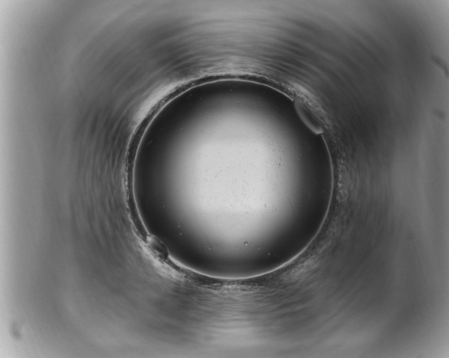 X0000100970942200807011417
