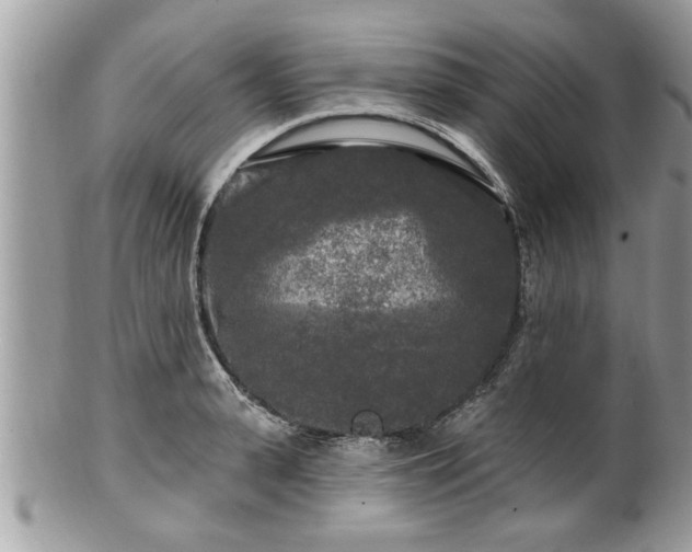 X0000100970943200807011417