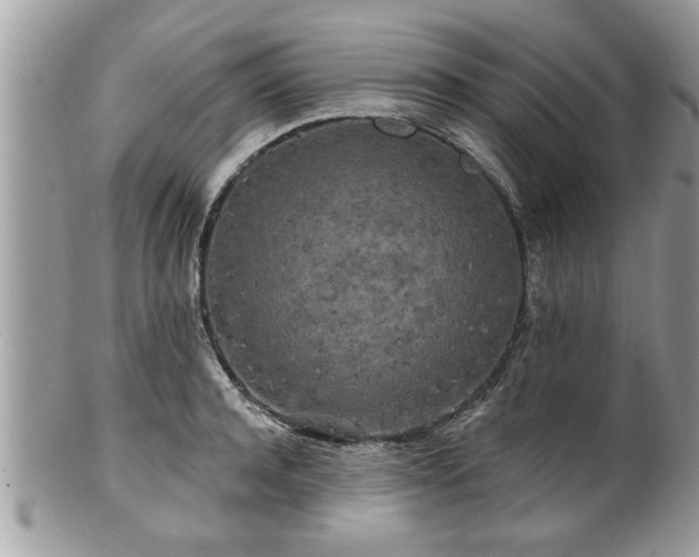 X0000100970944200807011417