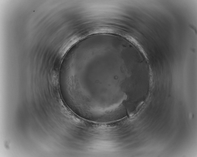 X0000100970945200807011417