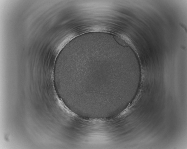 X0000100970946200807011417