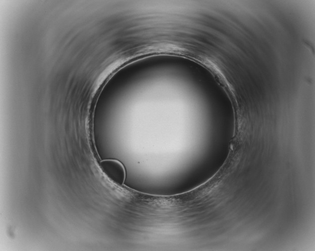 X0000100970947200807011417