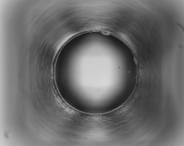 X0000100970948200807011417